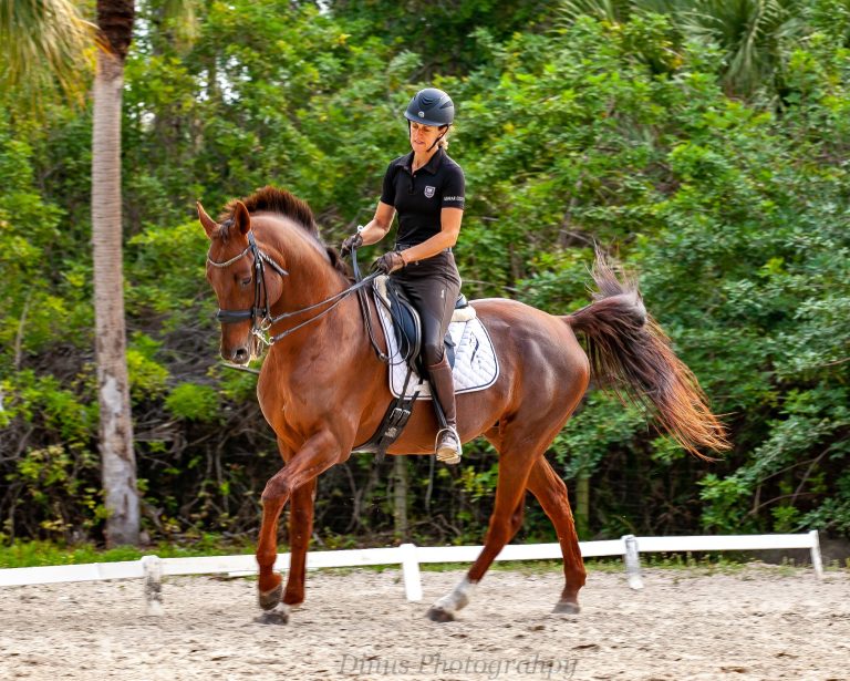 88321393 10219025119993827 488601939223773184 n