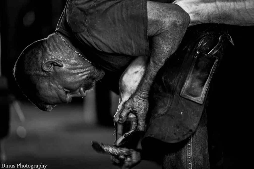Man Shoeing a Horse