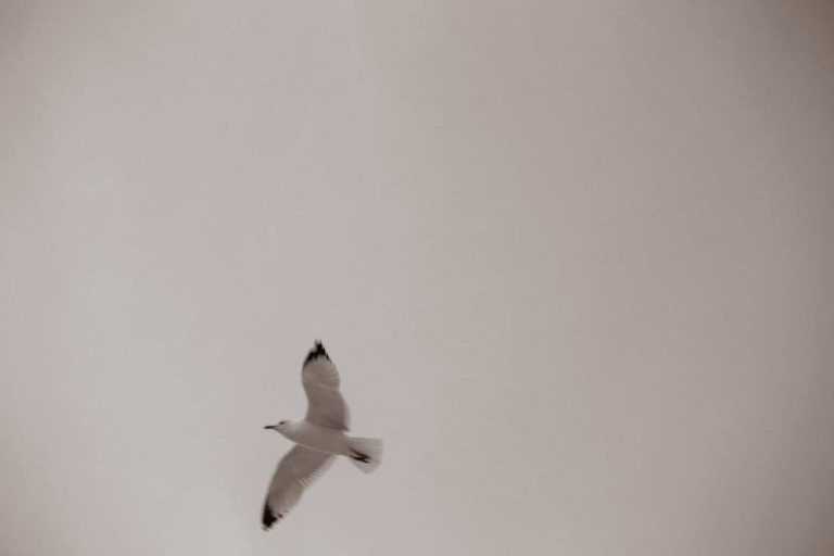 The Poles Beach Couples Portrait Jacksonville 10