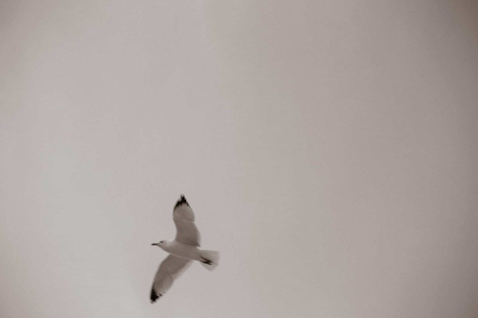 The Poles Beach Couples Portrait Jacksonville 10